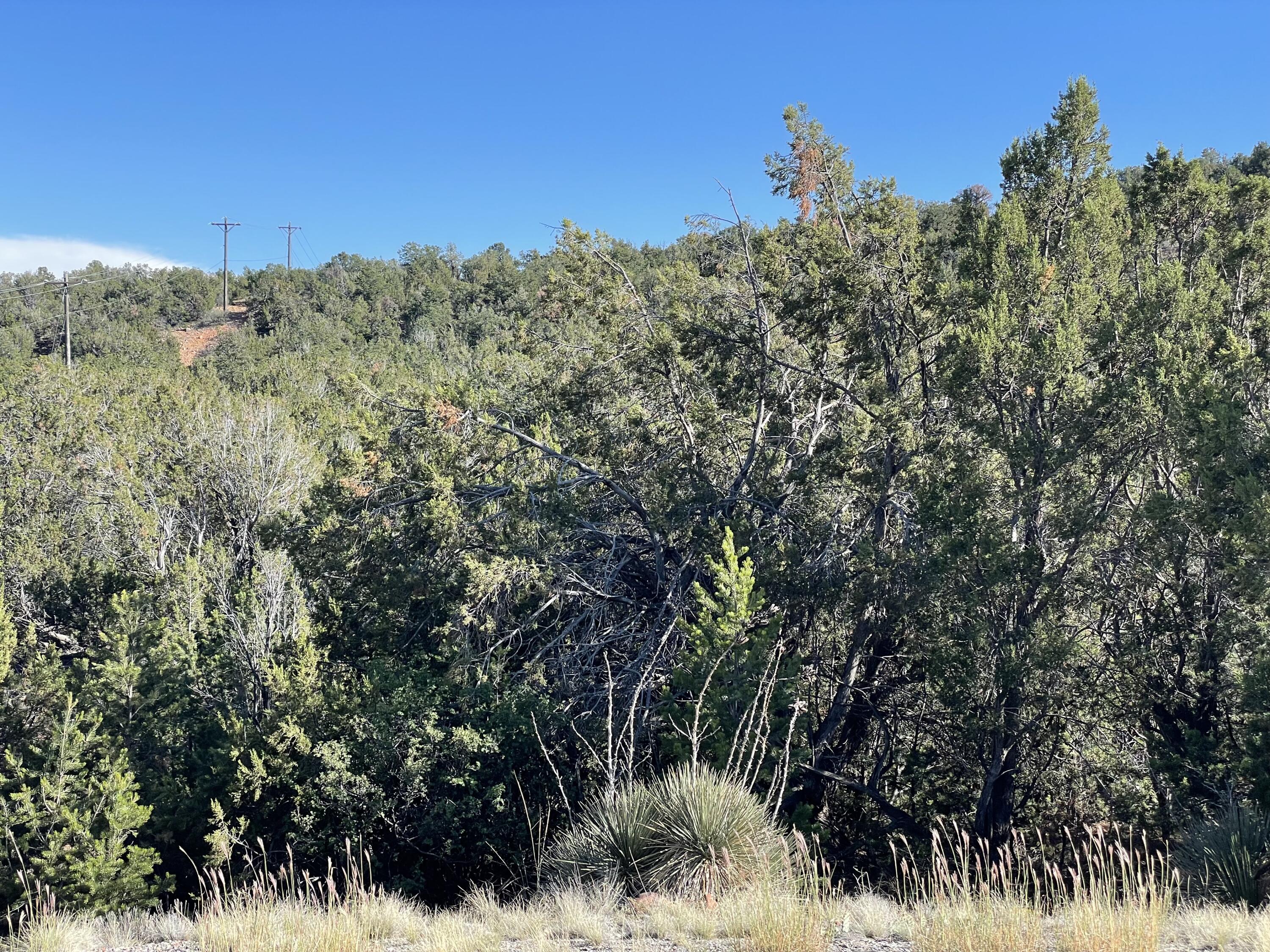 Photo 4 of Land for sale at 55 Canyon Ridge Dr, Sandia Park, NM 87047 | MLS# 1001164 | Listing updated on 2026-10-14