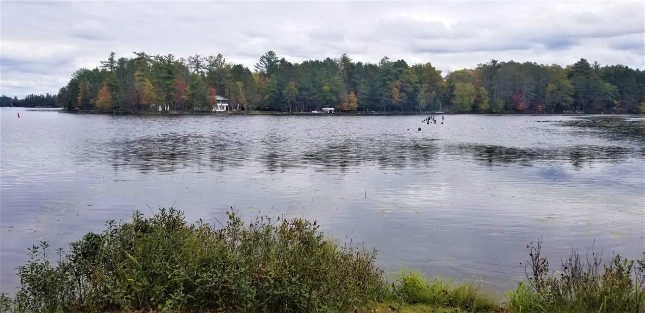 Dog Lake Property 1040 Big Lake Loop Rd N Photo 1