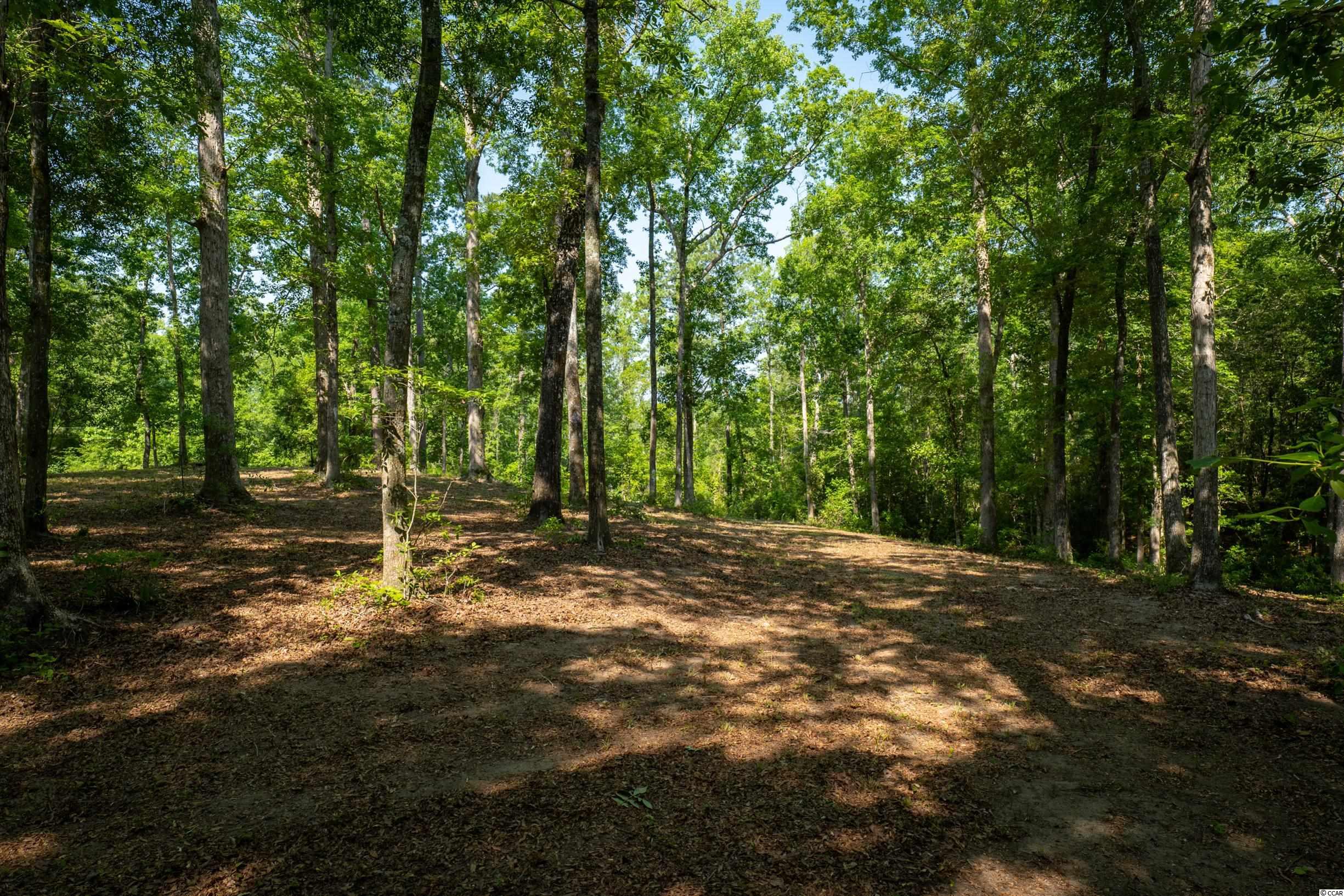 TBD Francis Marion Dr. 