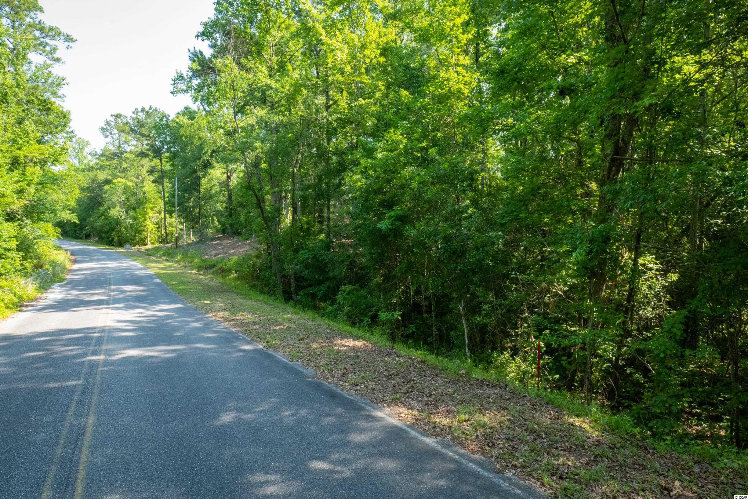 5th image of Tbd Francis Marion Dr, Georgetown, SC 29440 | MLS# 2211928
