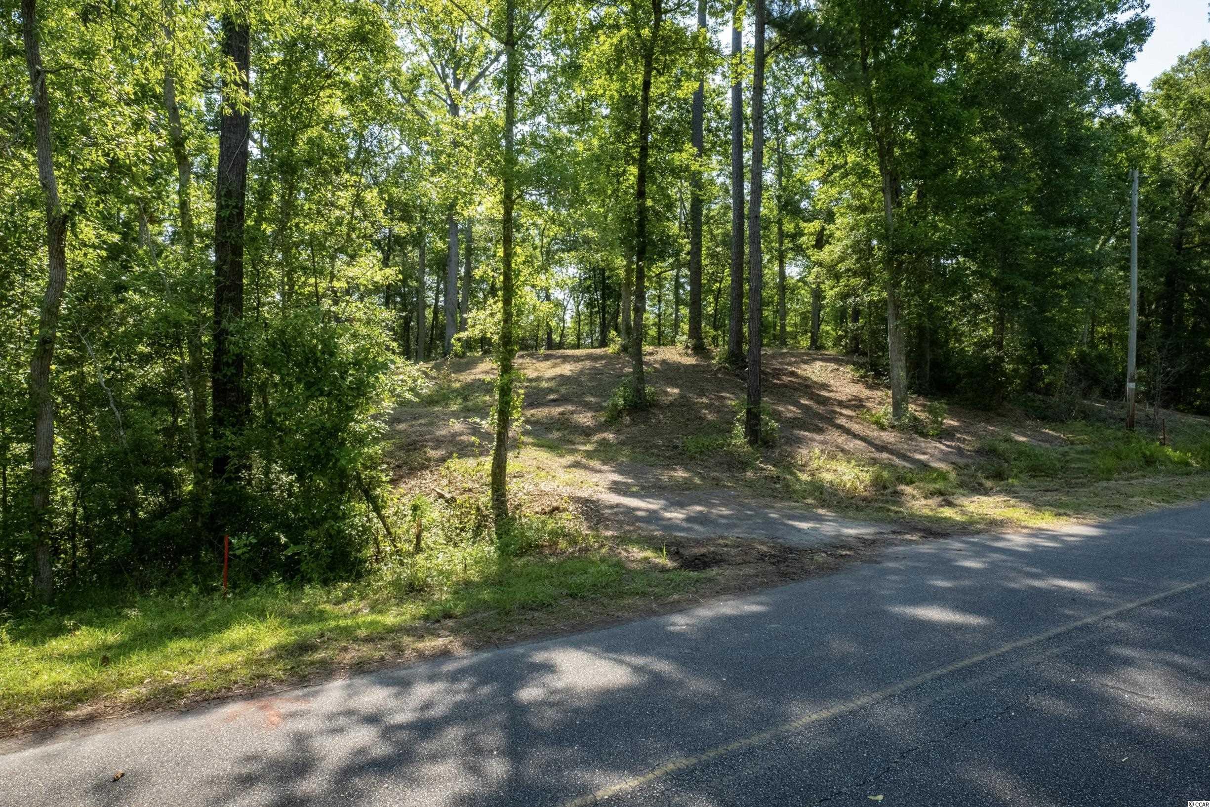 TBD Francis Marion Dr. 