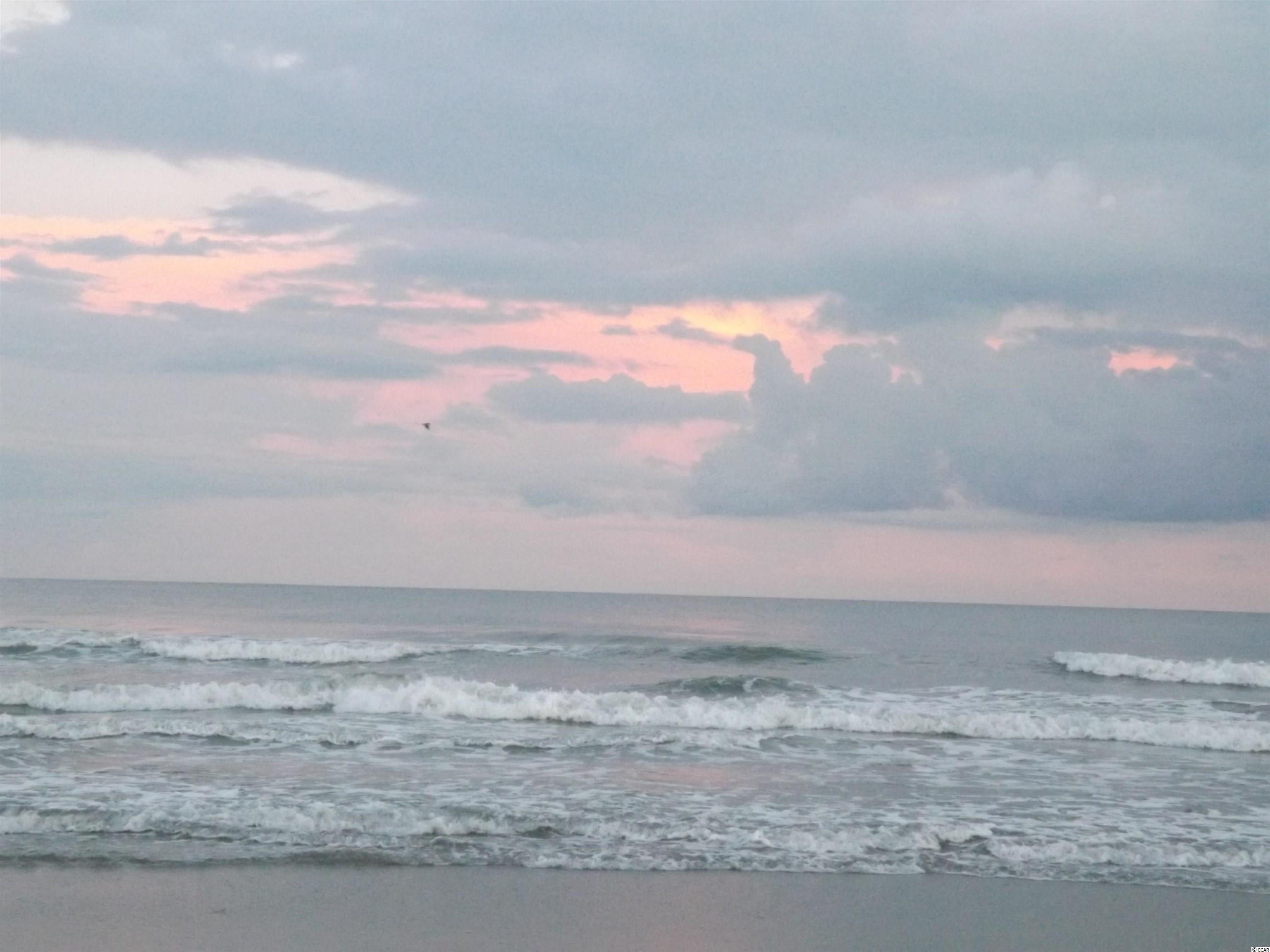 2213729 | Photo 19