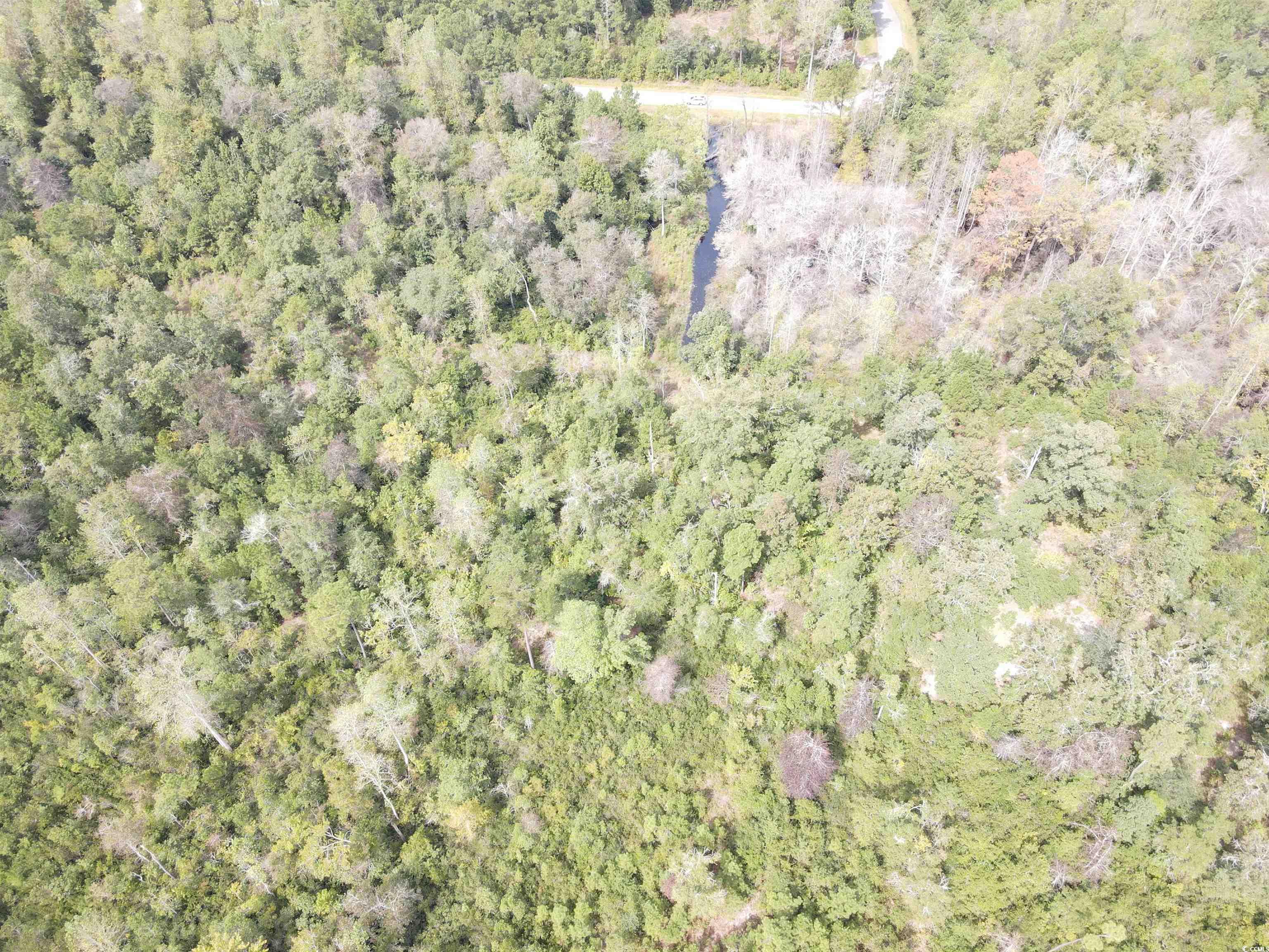 2224815 | Photo 13