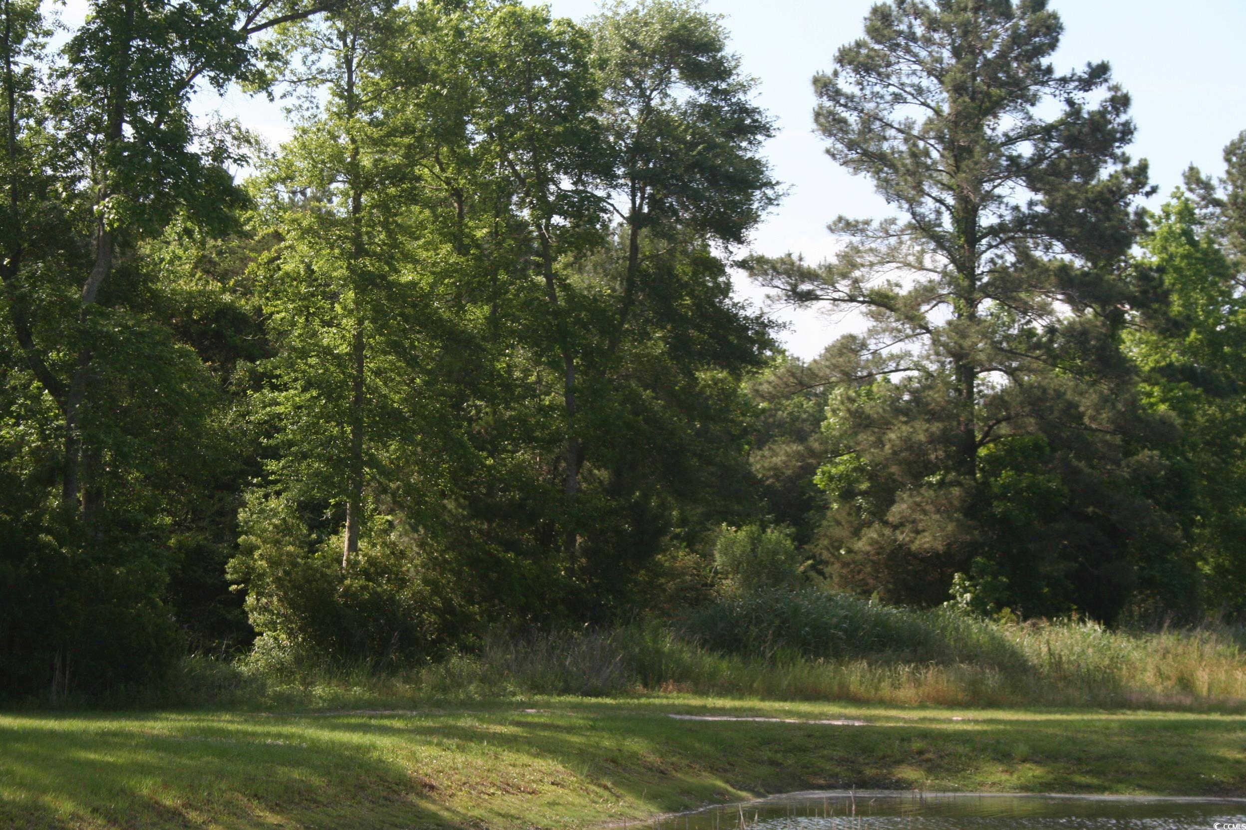 TBD Leisure Ln. Myrtle Beach, SC 29588