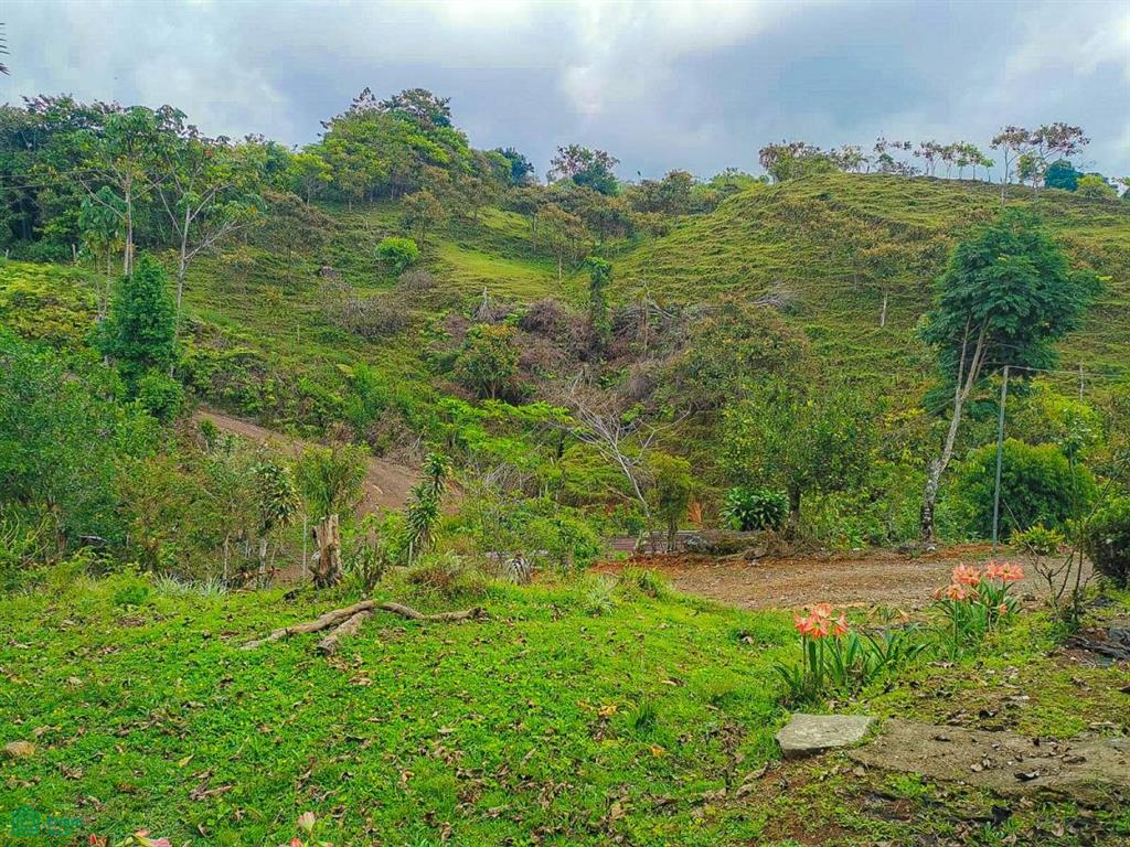 0 bed Land For Sale in Perez Zeledon, San Jose - 1