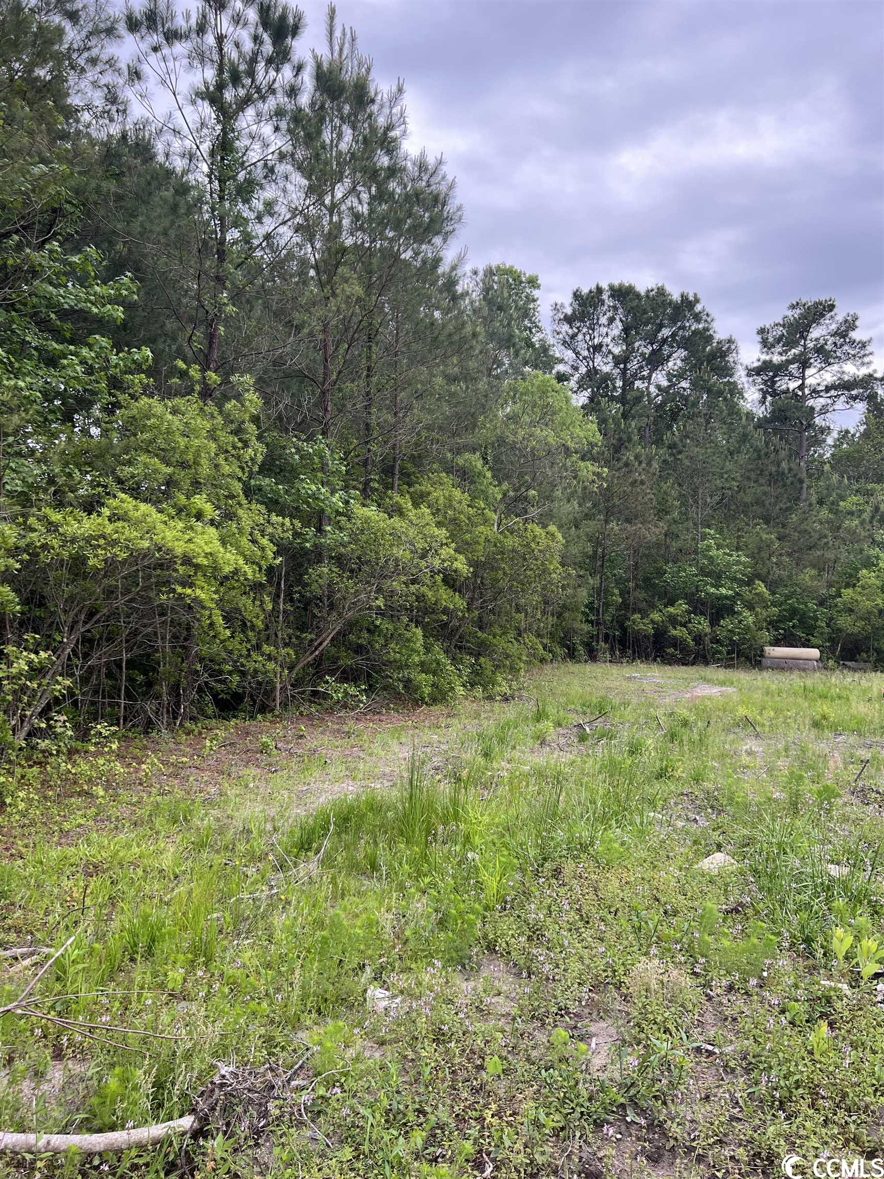 3rd image of Tbd Betts Rd, Murrells Inlet, SC 29576 | MLS# 2307683