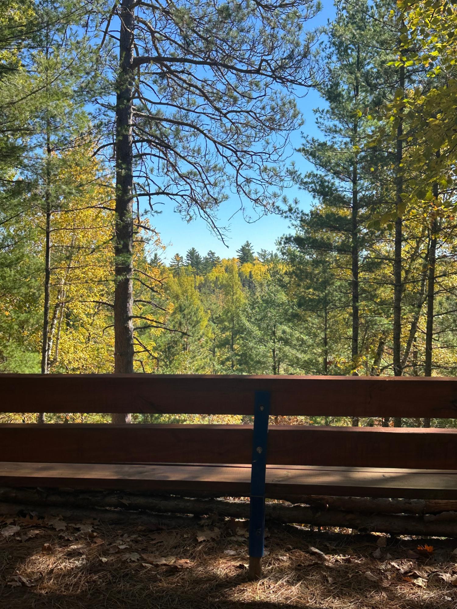 Lake of the Hills Property 4592 Lake Hills Landing Rd Photo 7