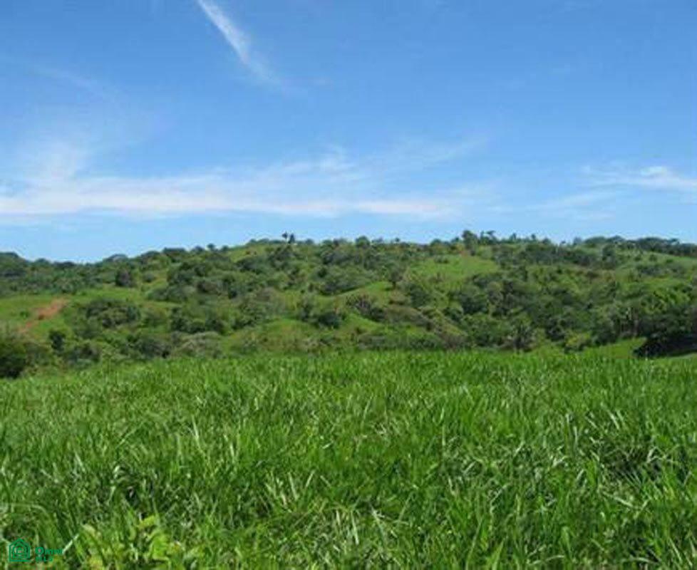 0 bed Land For Sale in Parrita, Puntarenas - 1