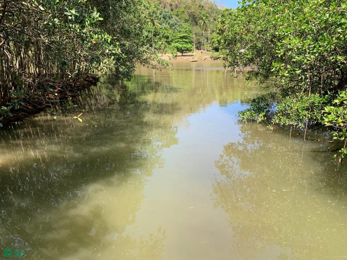 0 bed Land For Sale in Puntarenas, Puntarenas - 1
