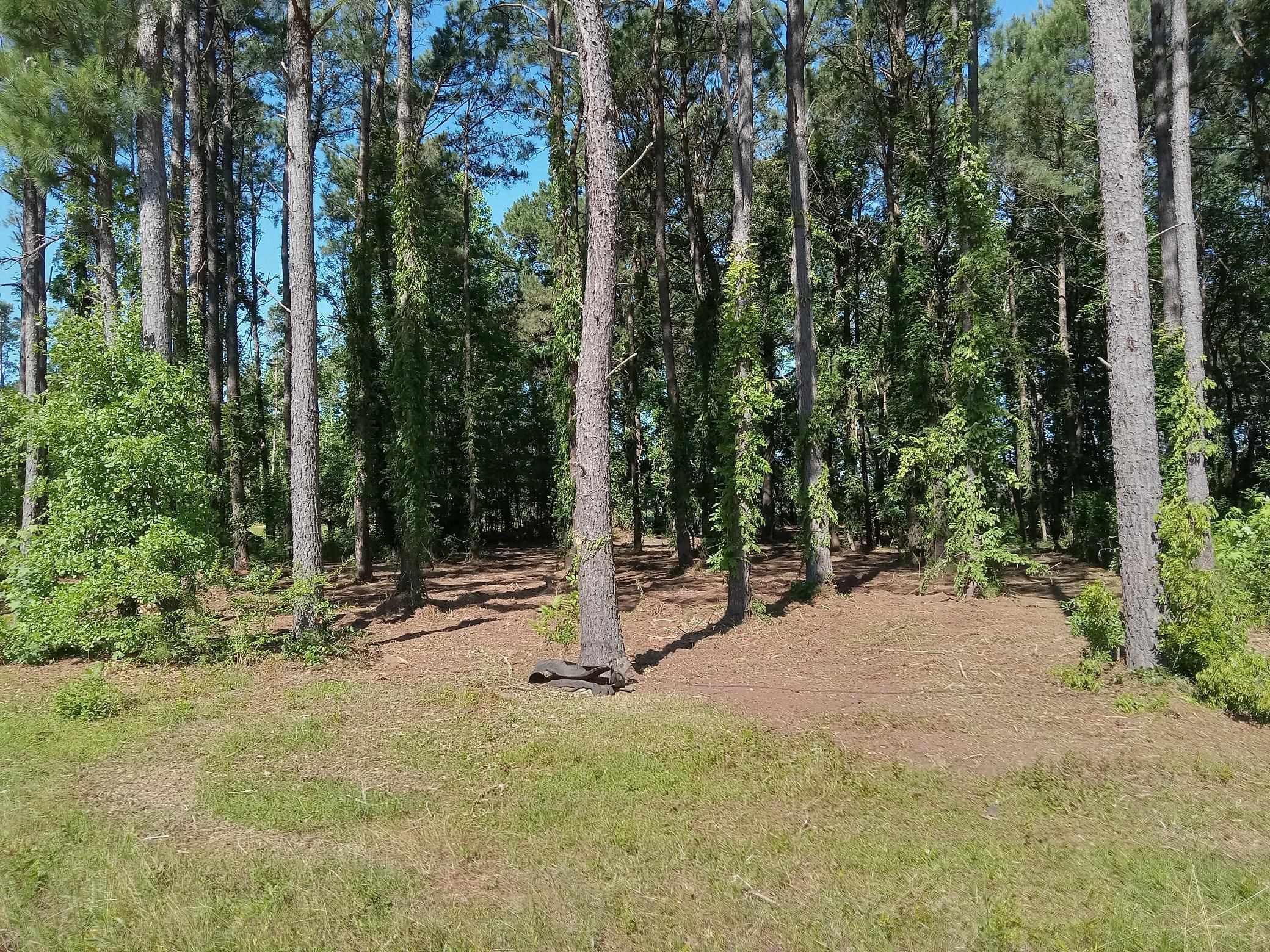 3800 Kickapoo Dr. Green Sea, SC 29545