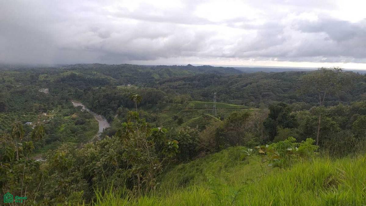 0 bed Land For Sale in Parrita, Puntarenas - 1