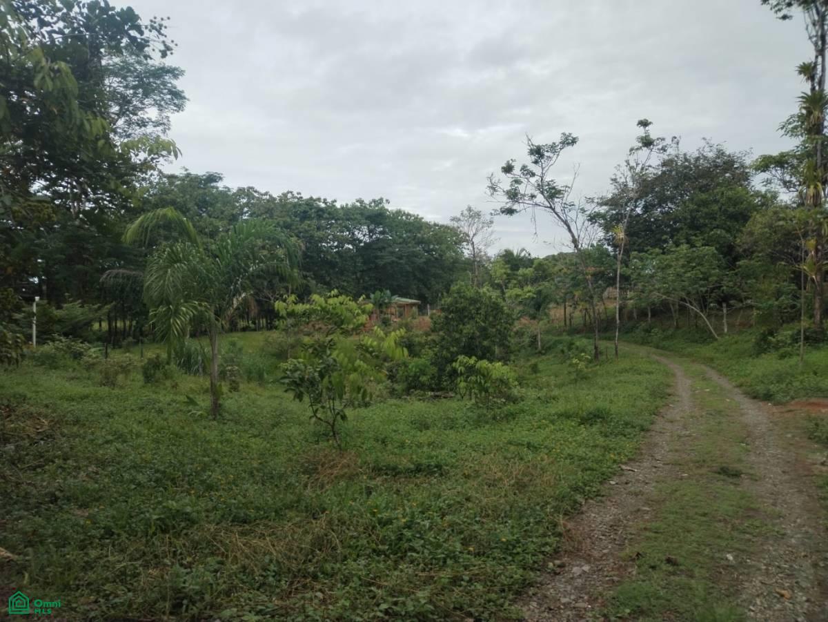 2 bed Land For Sale in , Puntarenas - 1