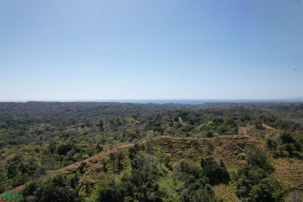 0 bed Land For Sale in Puntarenas, Puntarenas - 1