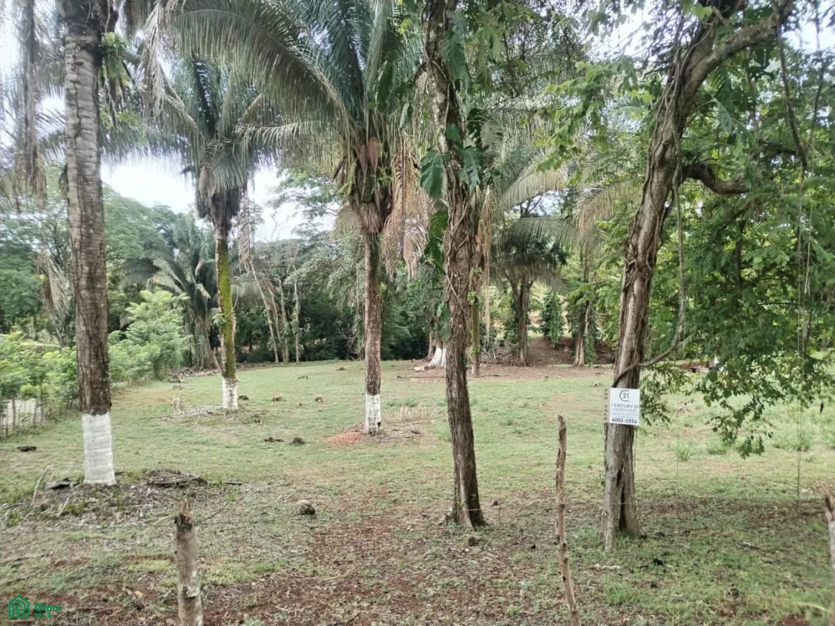0 bed Land For Sale in , Puntarenas - 1