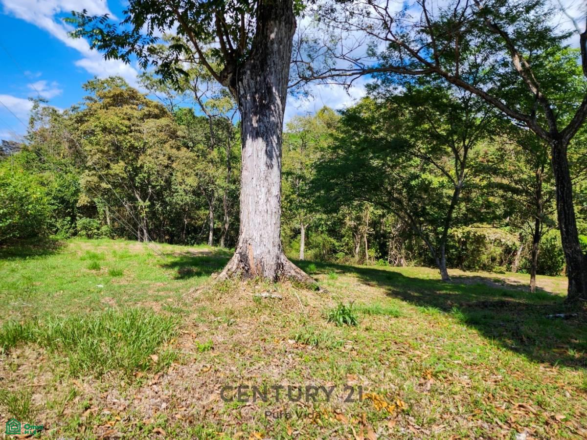 0 bed Land For Sale in San Mateo, Alajuela - 1