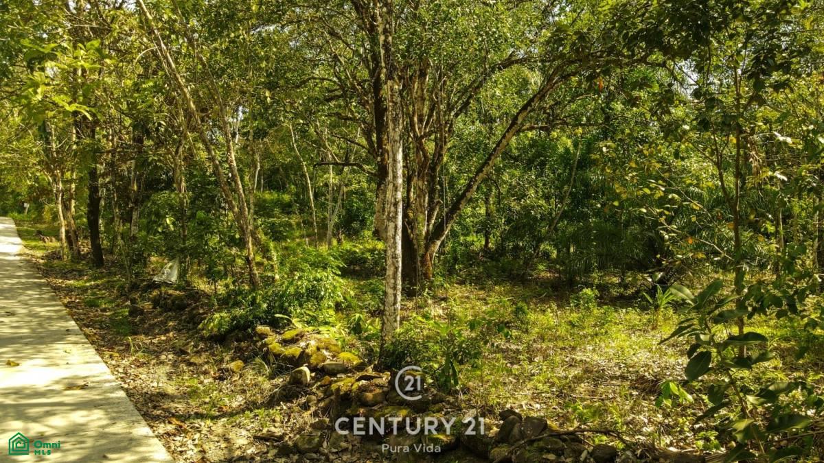 0 bed Land For Sale in San Mateo, Alajuela - 1