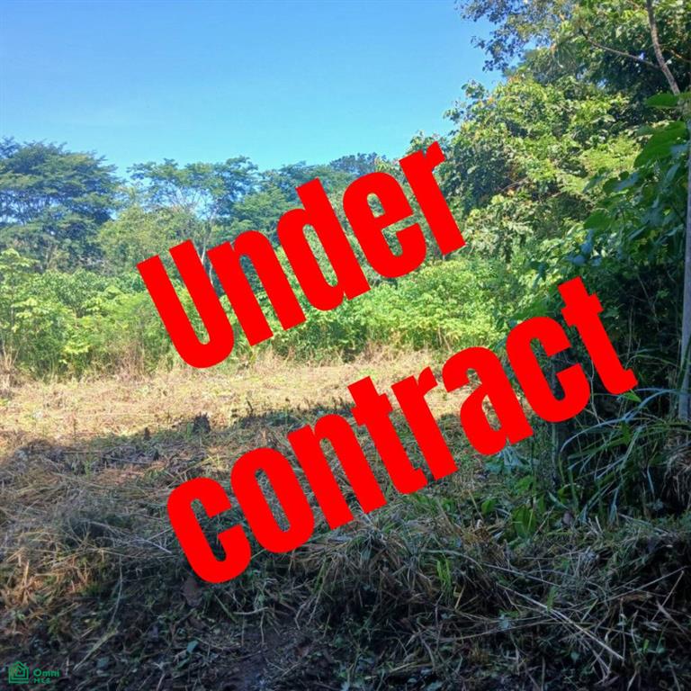 0 bed Land For Sale in Osa, Puntarenas - 1