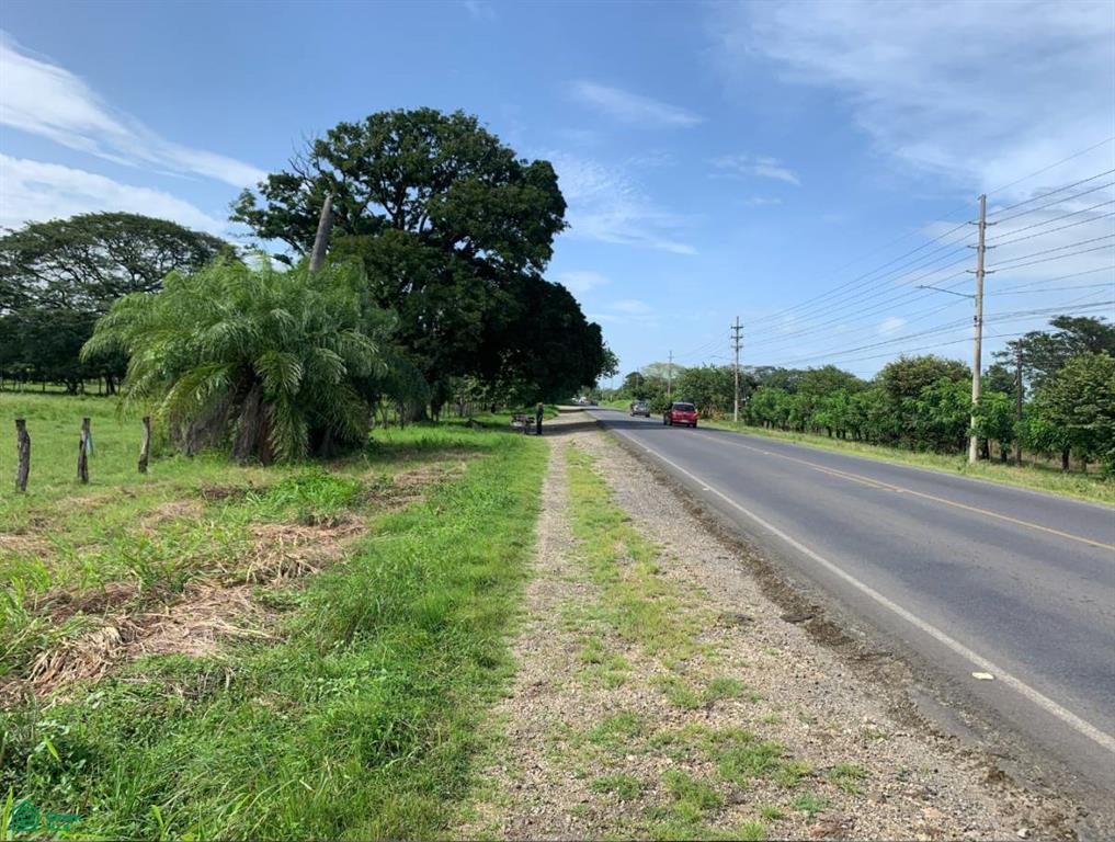 0 bed Land For Sale in Santa Cruz, Guanacaste - 1