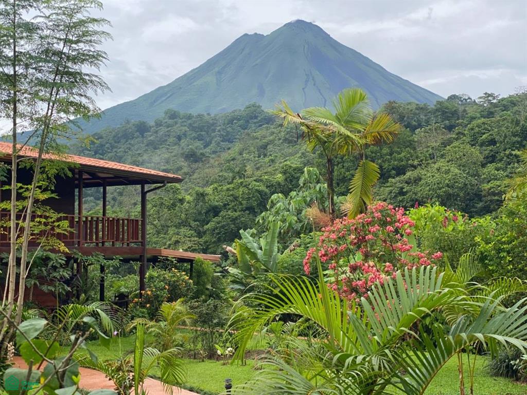 5 bed Commercial For Sale in San Carlos, Alajuela - 1