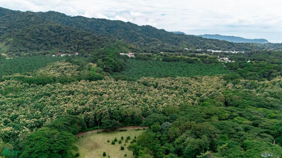 0 bed Land For Sale in Garabito, Puntarenas - 1