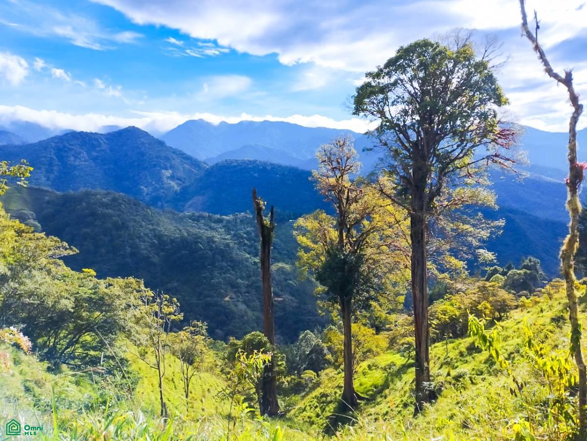 0 bed Land For Sale in Perez Zeledon, San Jose - 1