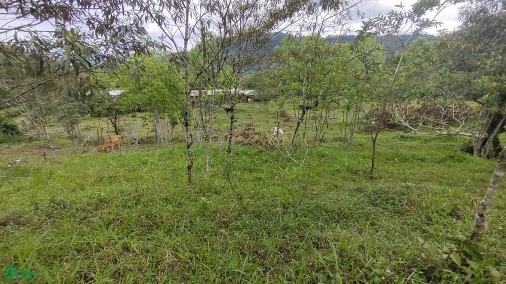 0 bed Land For Sale in Turrialba, Cartago - 1
