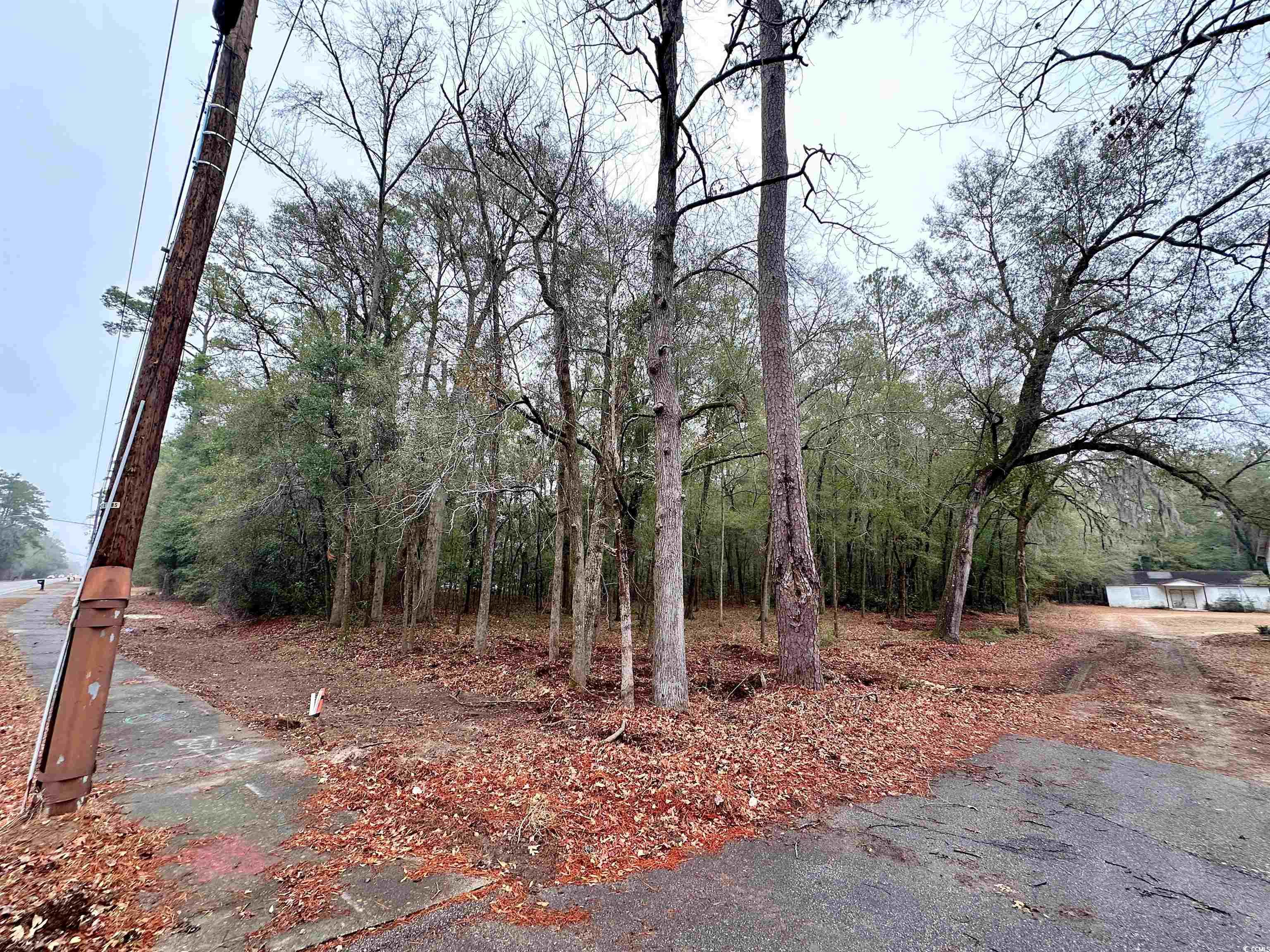 2422787 | Photo 2