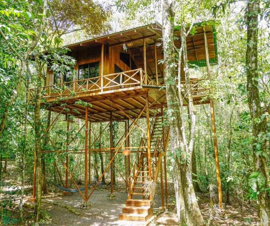 7 bed Commercial For Sale in San Carlos, Alajuela - 1