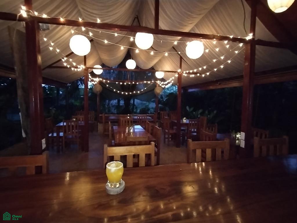 0 bed Commercial For Sale in Osa, Puntarenas - 1