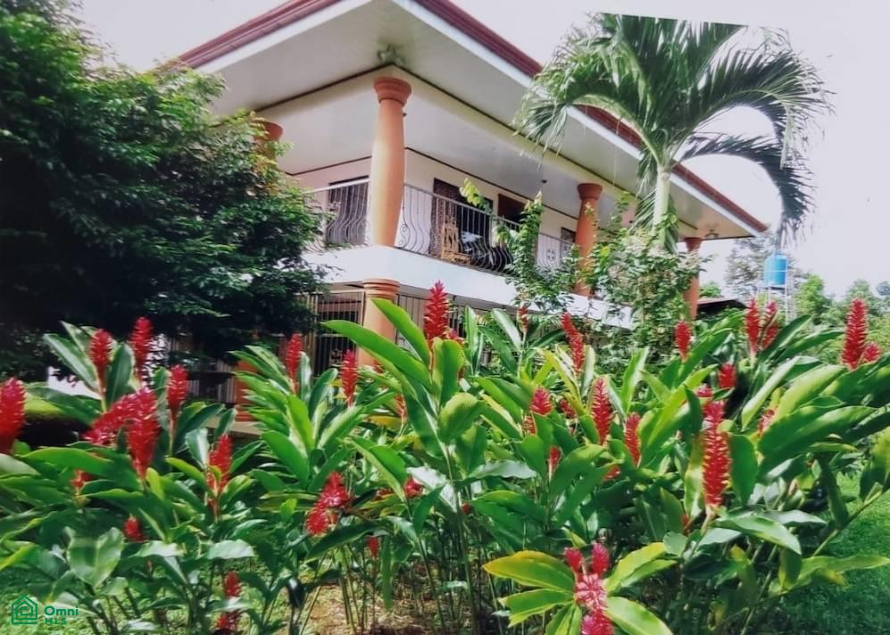 6 bed Single Family Homes For Sale in Pococi, Limon - 1