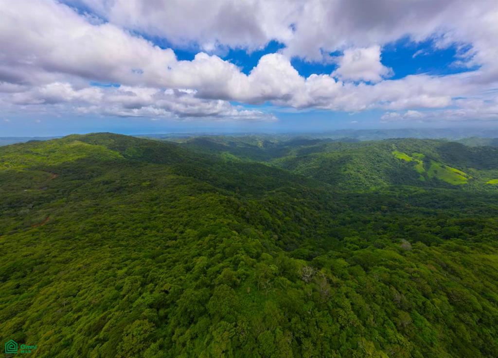 0 bed Land For Sale in Santa Cruz, Guanacaste - 1
