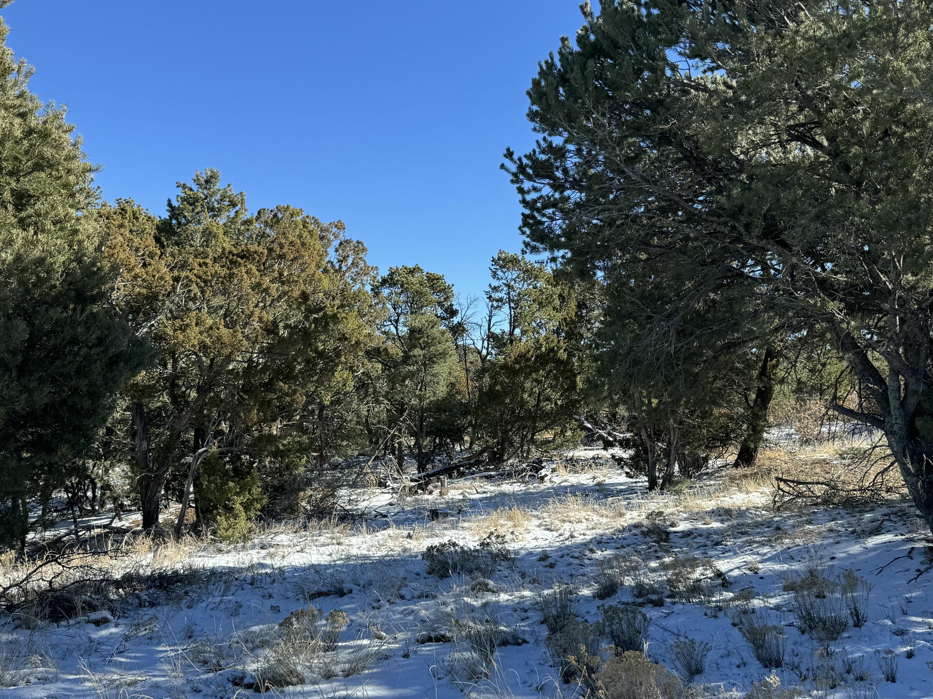 Photo 4 of Land for sale at Lot 2 Bolivar Lp Loop, Tijeras, NM 87059 | MLS# 1076305 | Listing updated on 2026-10-14