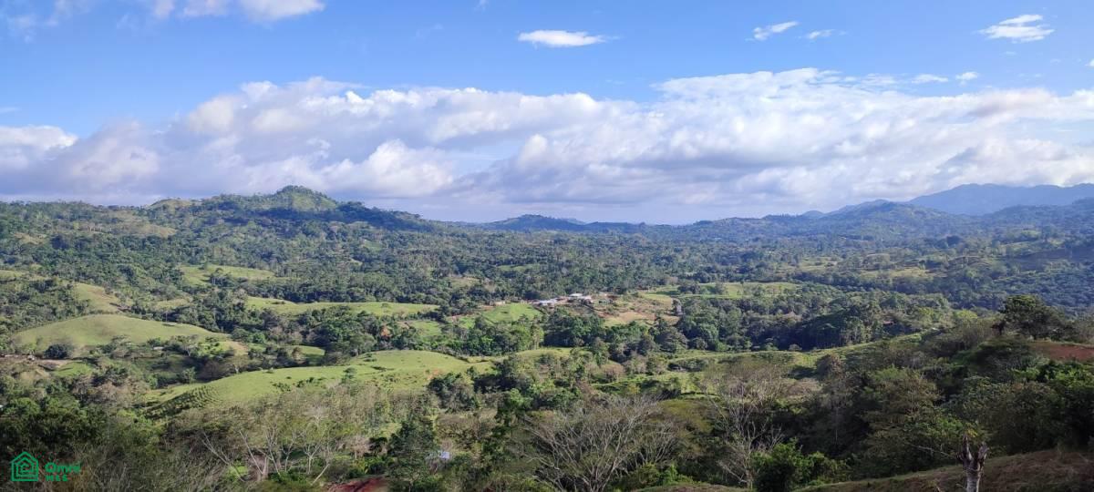 0 bed Land For Sale in Garabito, Puntarenas - 1