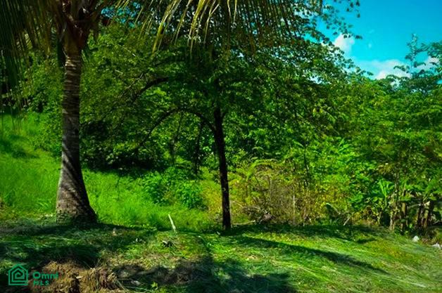 0 bed Land For Sale in Nandayure, Guanacaste - 1