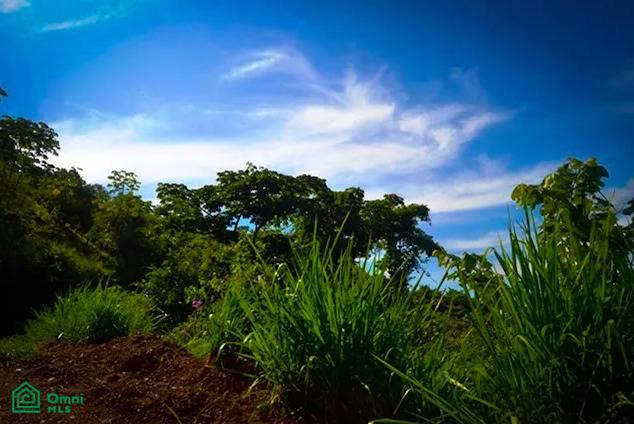 0 bed Land For Sale in Nandayure, Guanacaste - 1
