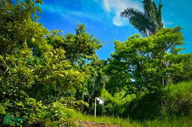 0 bed Land For Sale in Nandayure, Guanacaste - 1