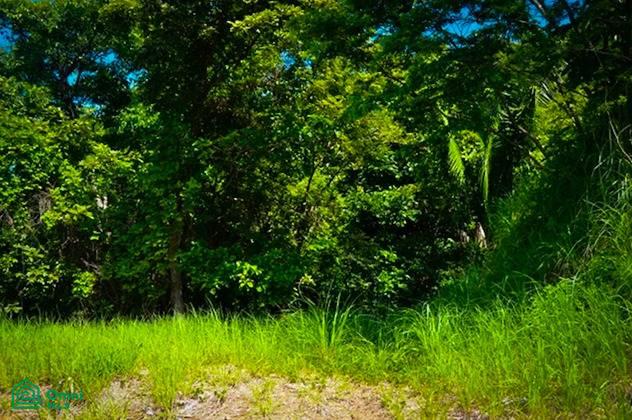 0 bed Land For Sale in Nandayure, Guanacaste - 1