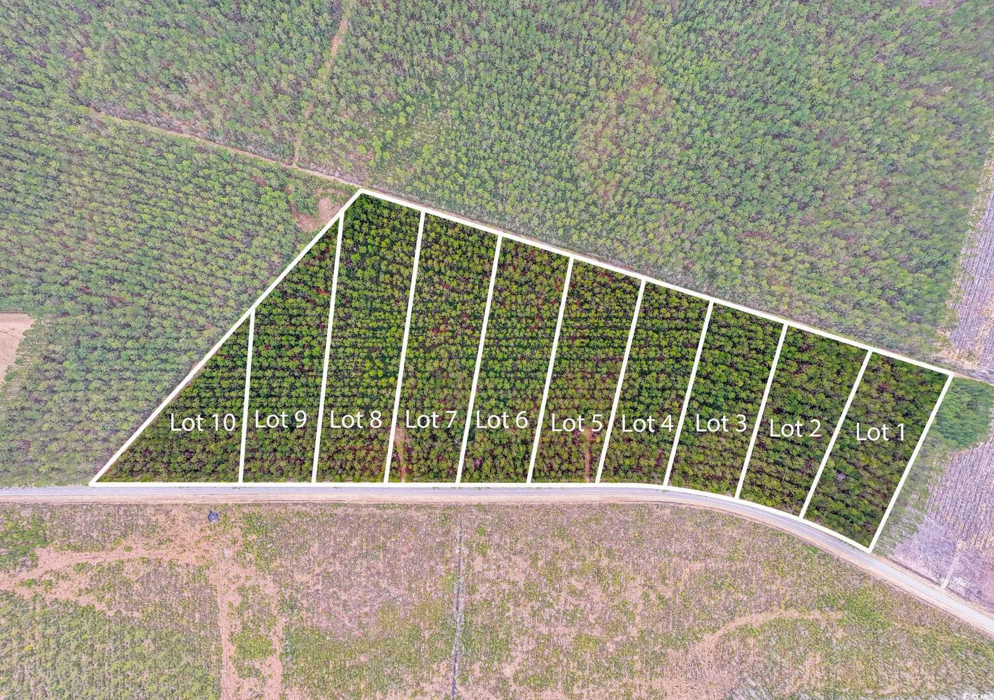 TBD Joyner Swamp Rd. Galivants Ferry, SC 29544