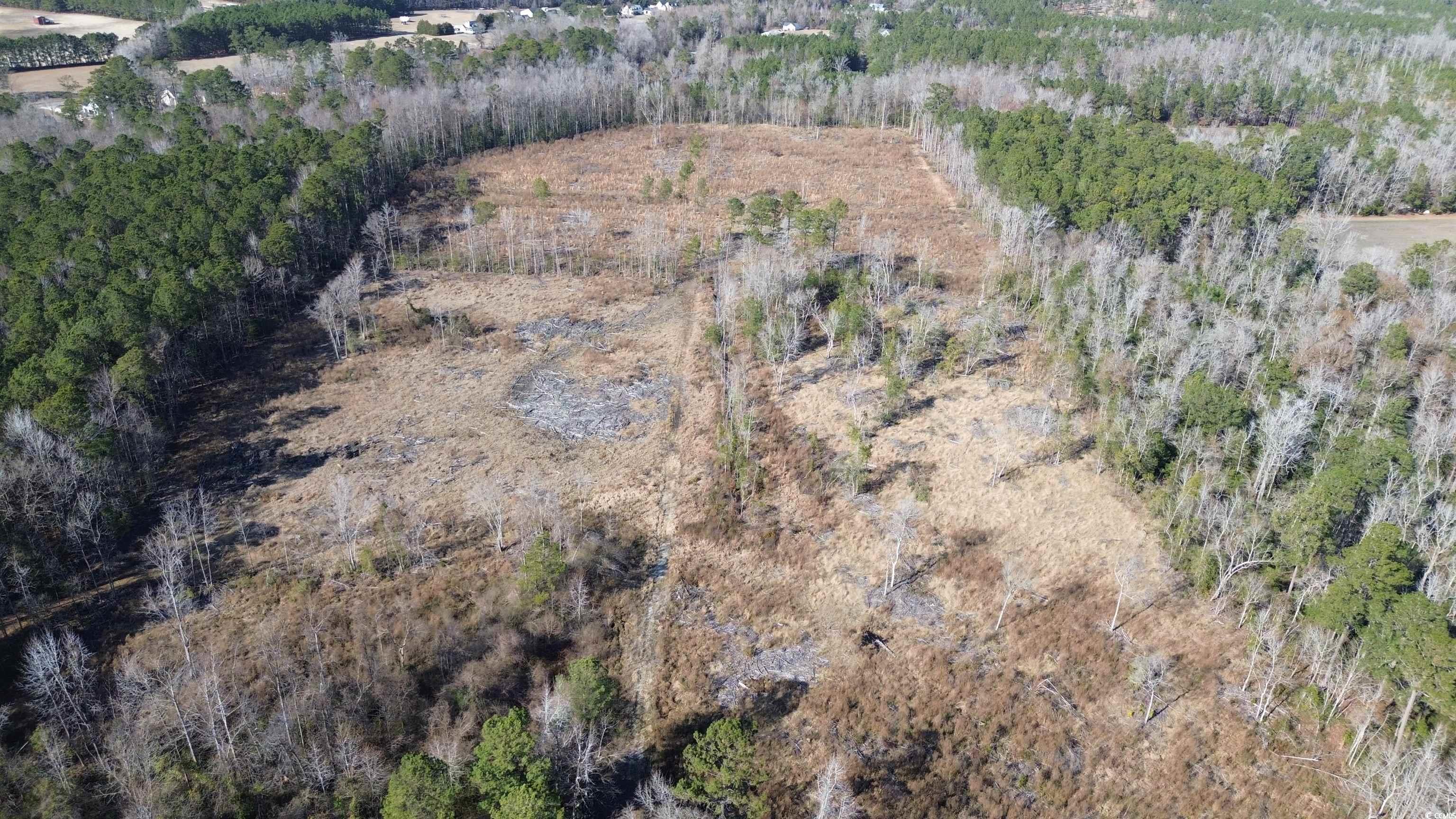 TBD Highway 905 Conway, SC 29526