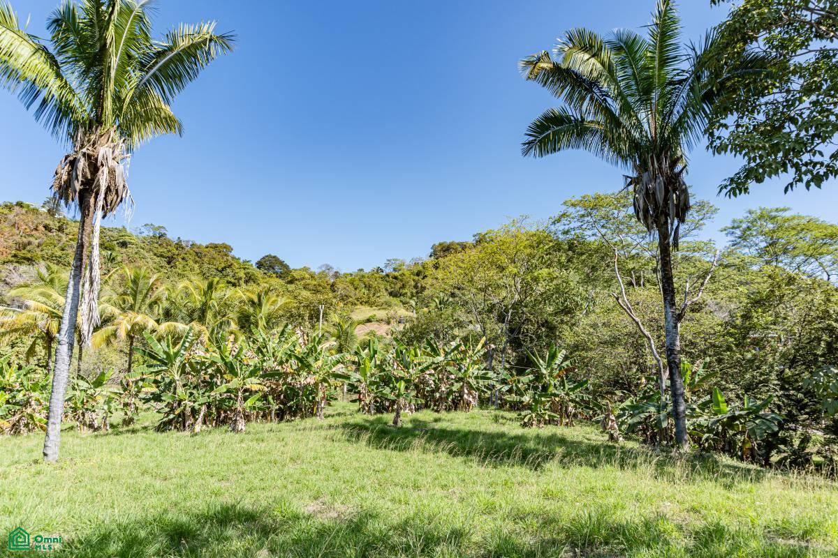 0 bed Land For Sale in Nandayure, Guanacaste - 1