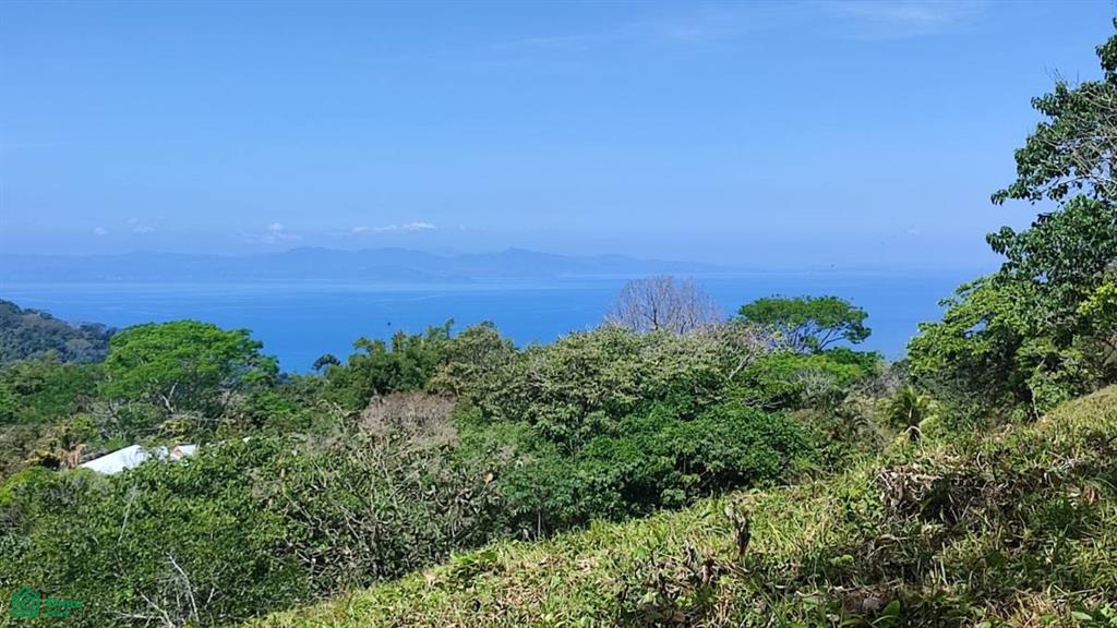 0 bed Land For Sale in Garabito, Puntarenas - 1