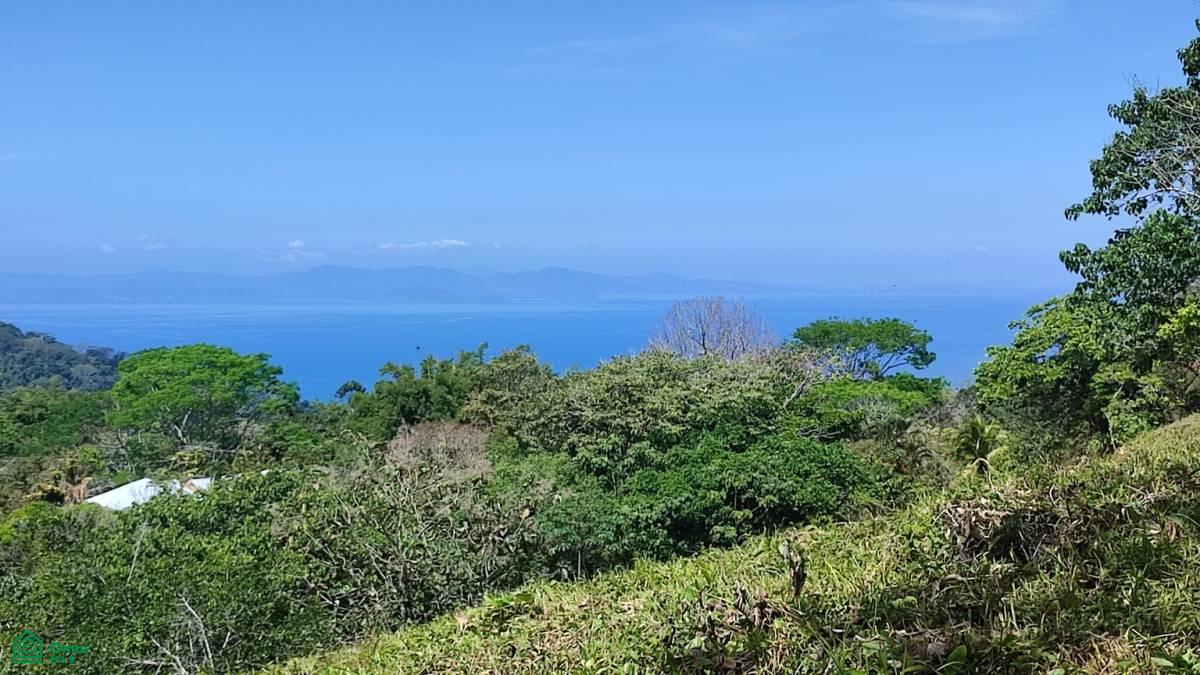 0 bed Land For Sale in Garabito, Puntarenas - 1