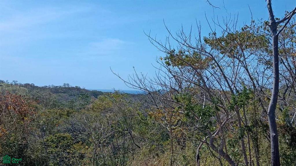 0 bed Land For Sale in Santa Cruz, Guanacaste - 1