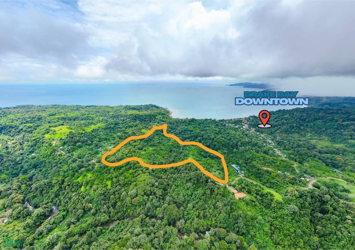 0 bed Land For Sale in Osa, Puntarenas - 1