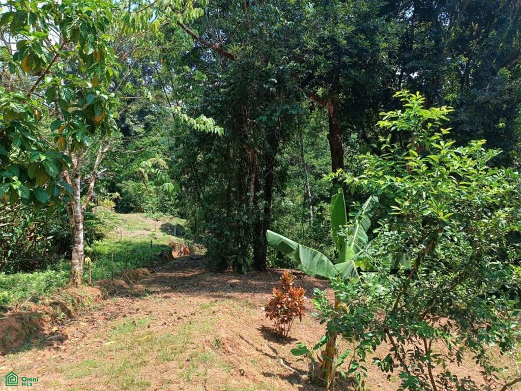 0 bed Land For Sale in , Puntarenas - 1