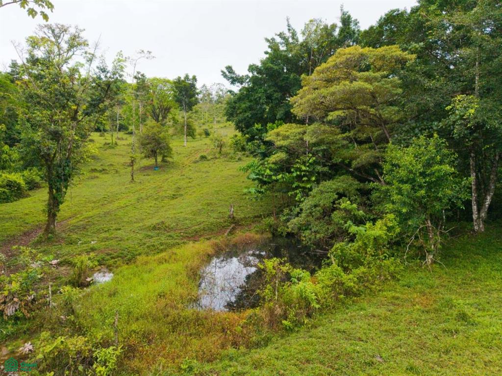 0 bed Land For Sale in Upala, Alajuela - 1
