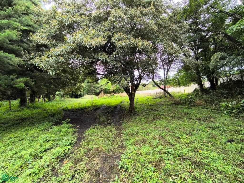 0 bed Land For Sale in San Rafael, Heredia - 1
