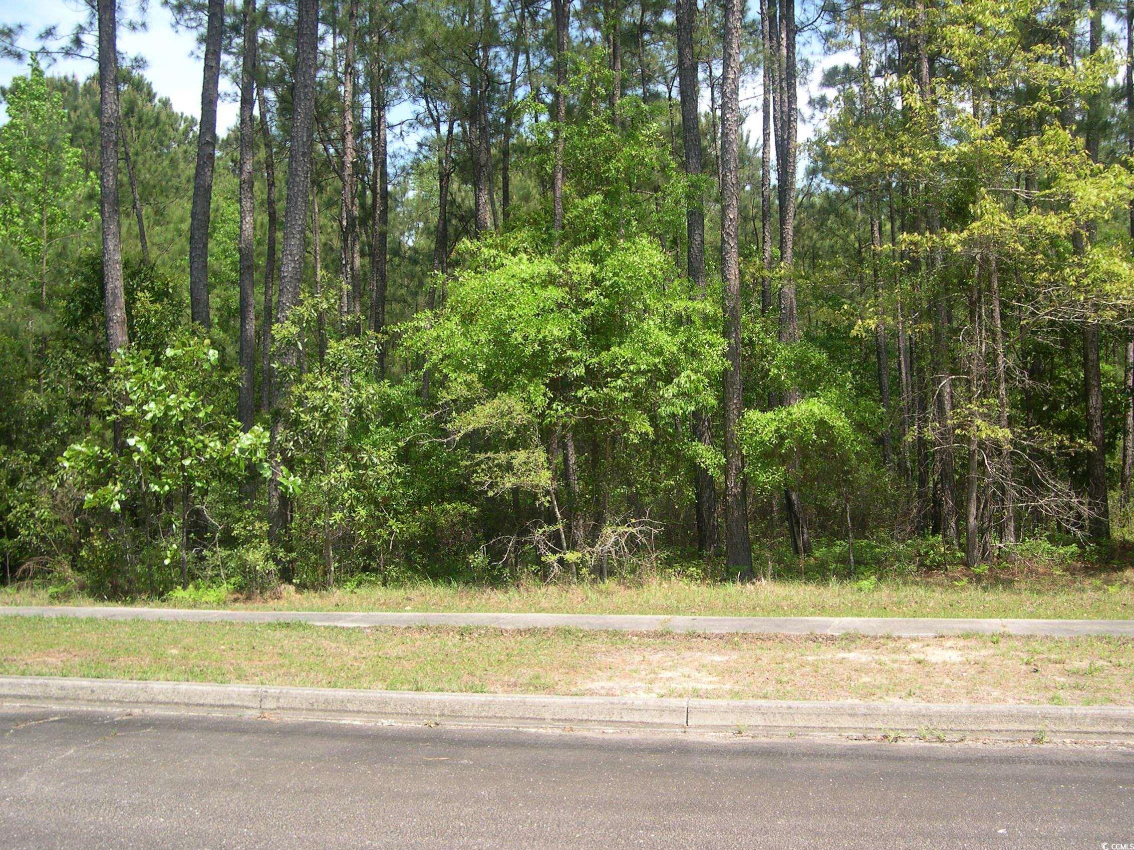 103 Pineberry Dr. Georgetown, SC 29440