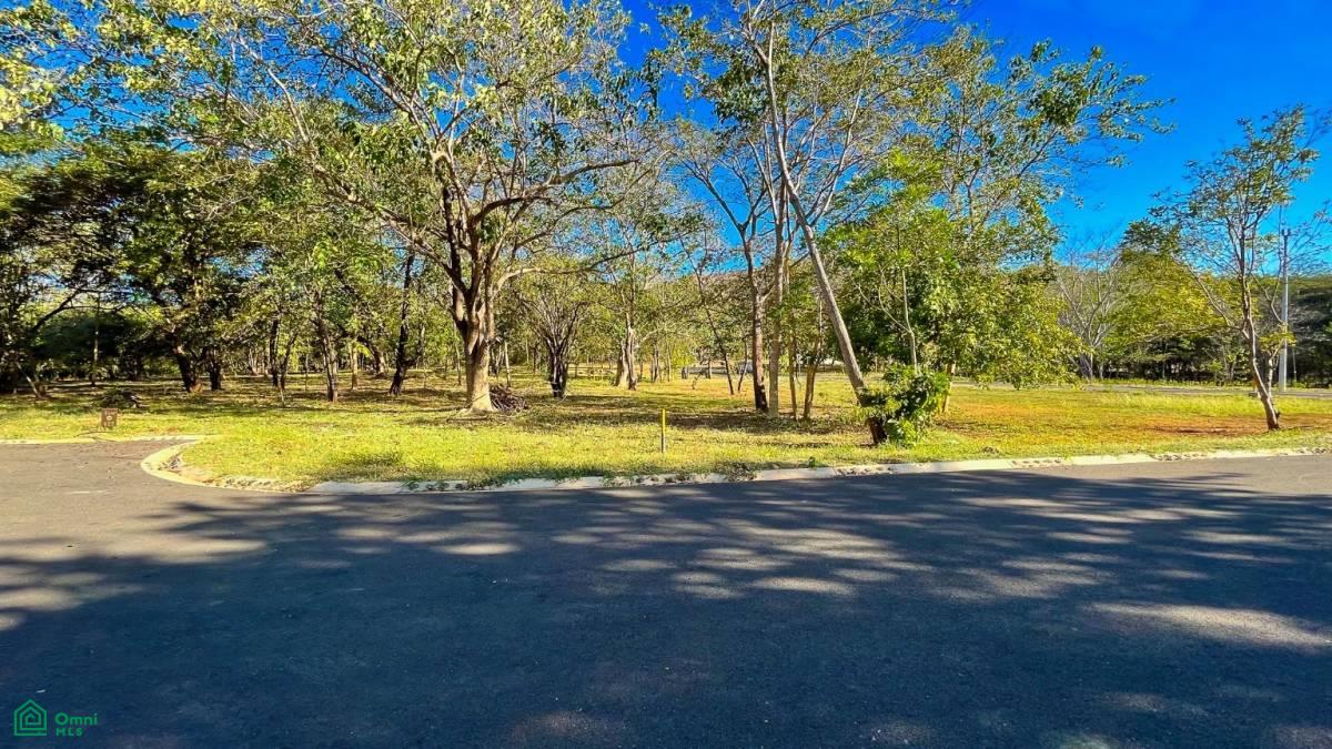 0 bed Land For Sale in Santa Cruz, Guanacaste - 1