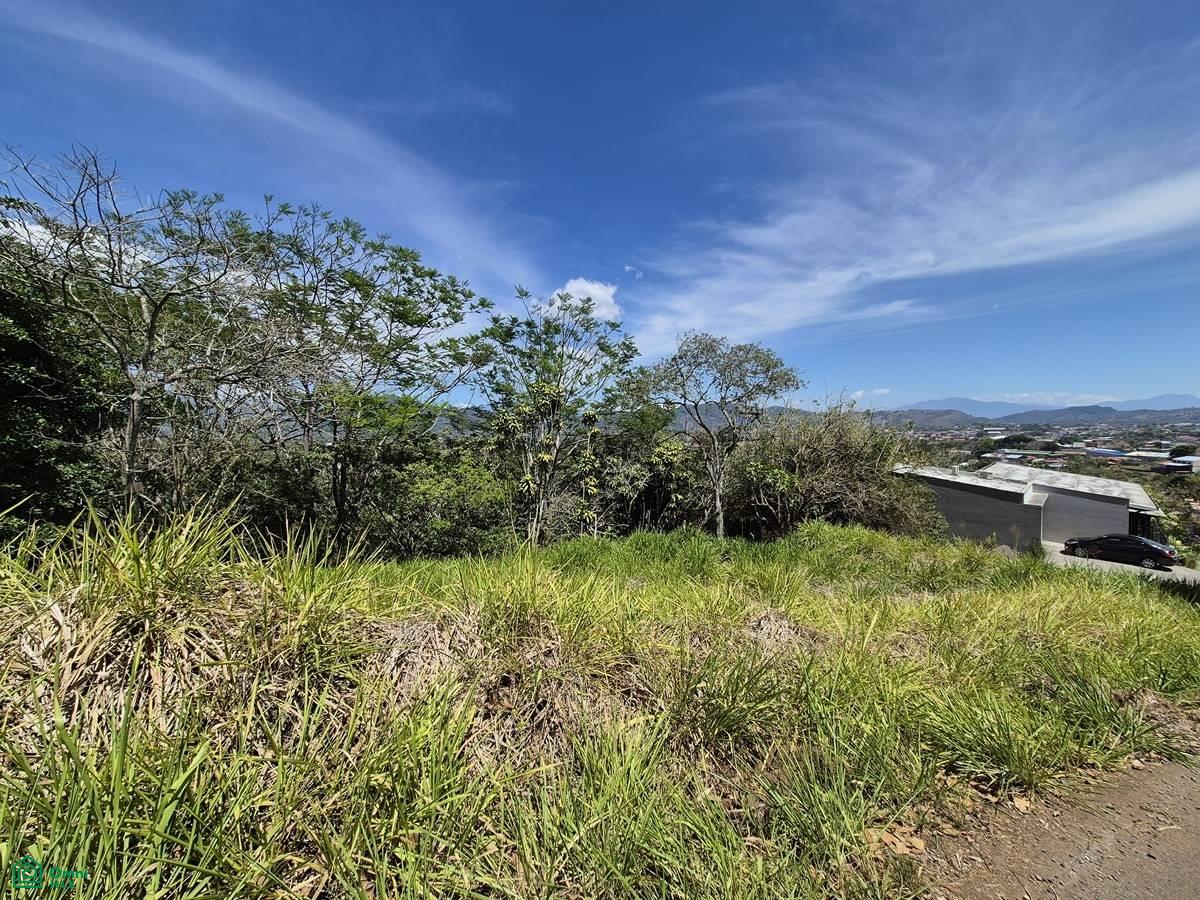 0 bed Land For Sale in Palmares, Alajuela - 1